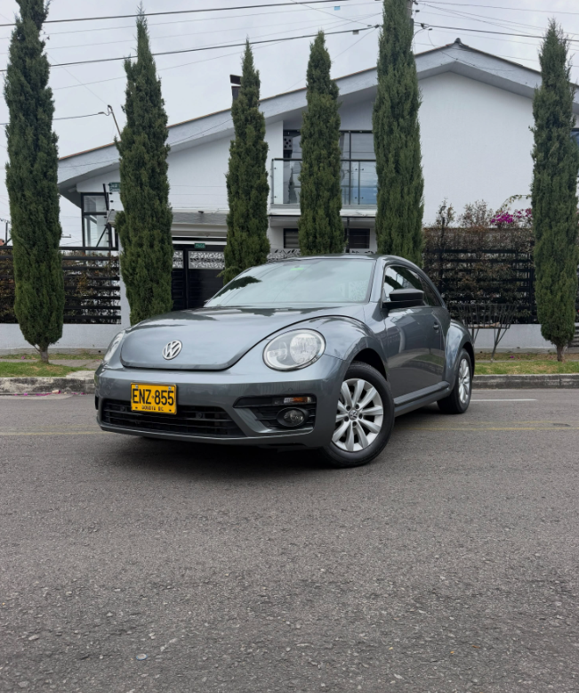 Volkswagen New Beetle 2019